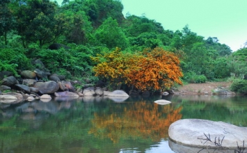 Phiếm ái chúng